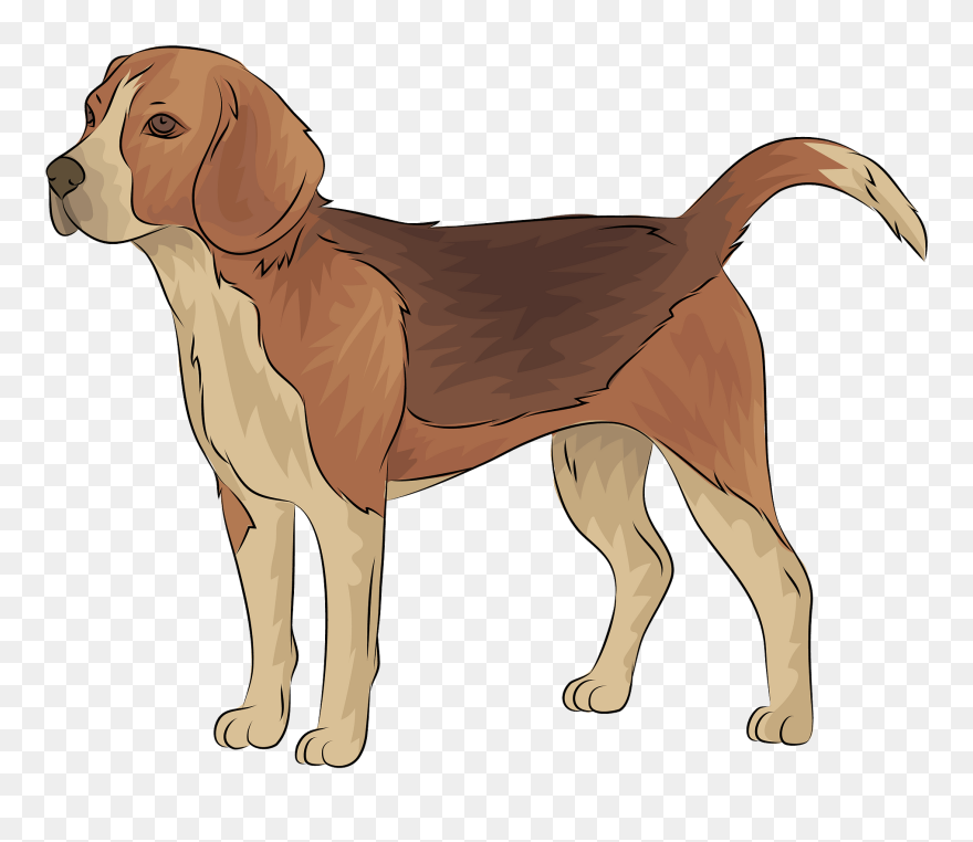 Harrier Clipart