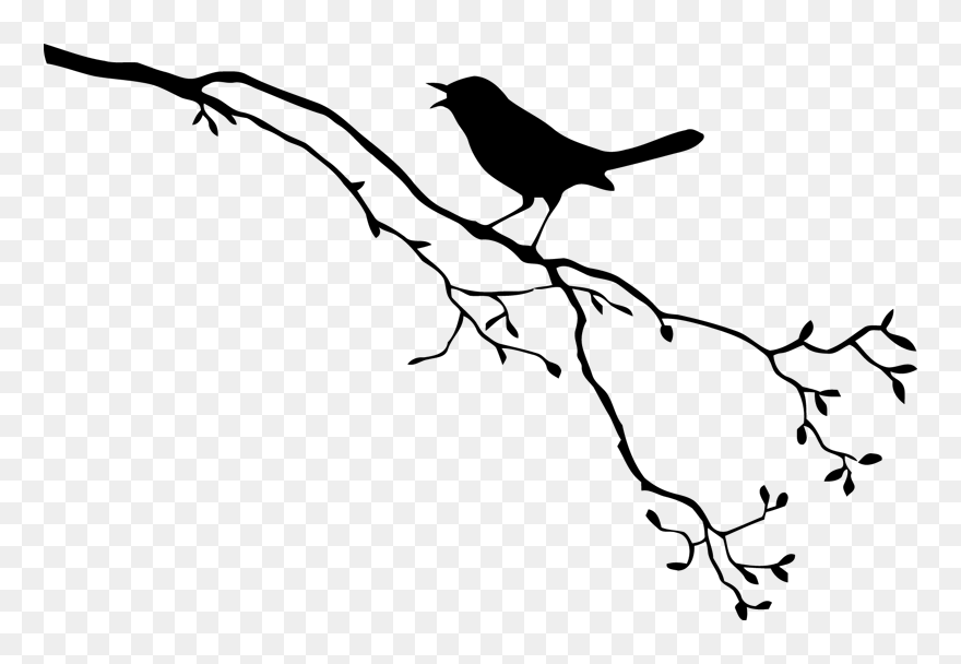 Bird Royalty-free Drawing - Bird On A Branch Silhouette Png Clipart