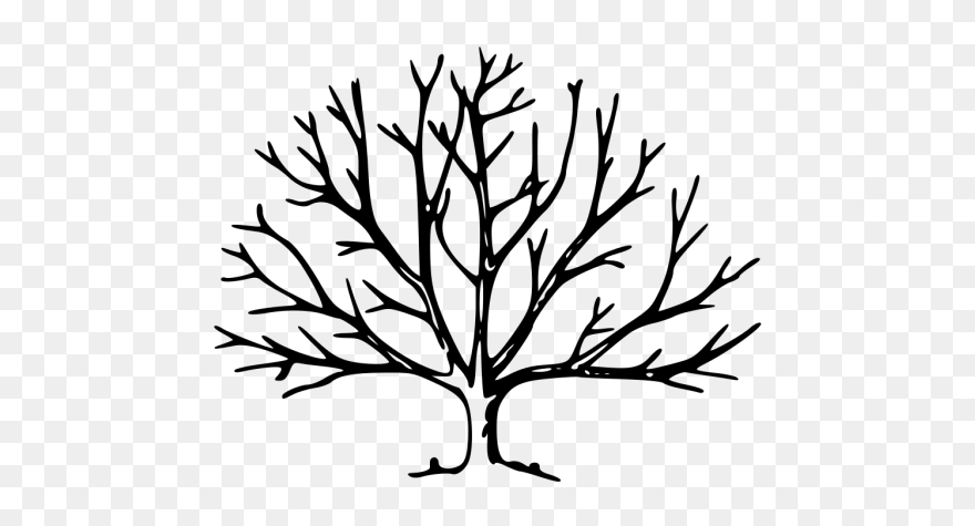 Tree Png Icons - Tree Branch Clipart Black And White Transparent Png