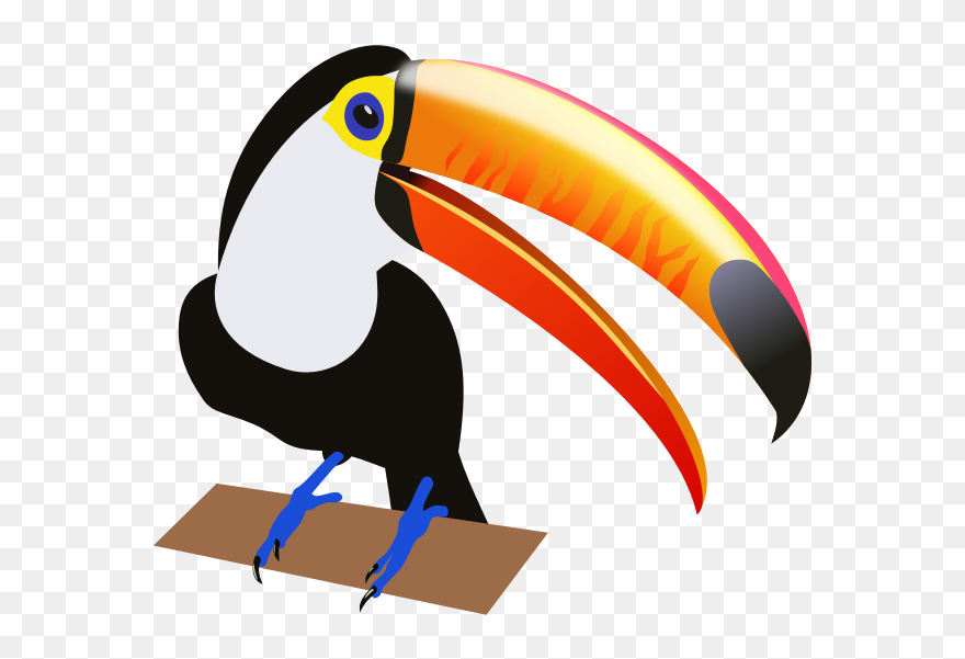 Drawing Of A Tropical Bird - Toucan Clipart Transparent Background - Png Download