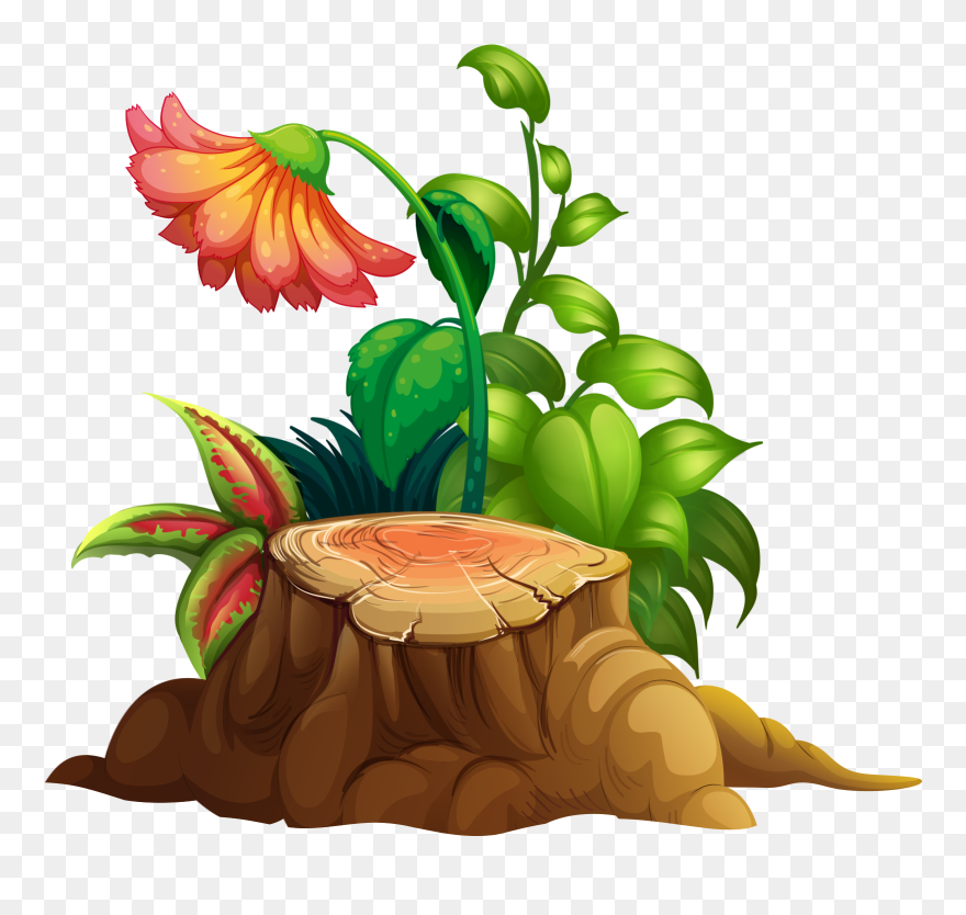 Exotic Flower Transparent - Rock And Flower Catoon Clipart