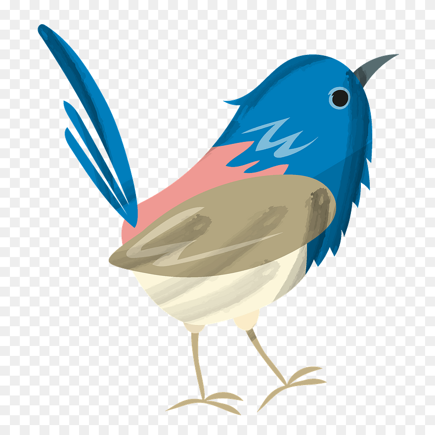 Bluebird Clipart - Mountain Bluebird - Png Download