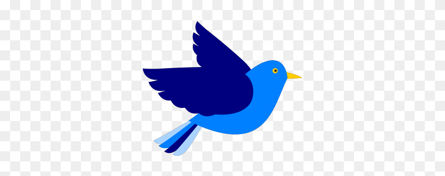 Mountain Bluebird Clipart