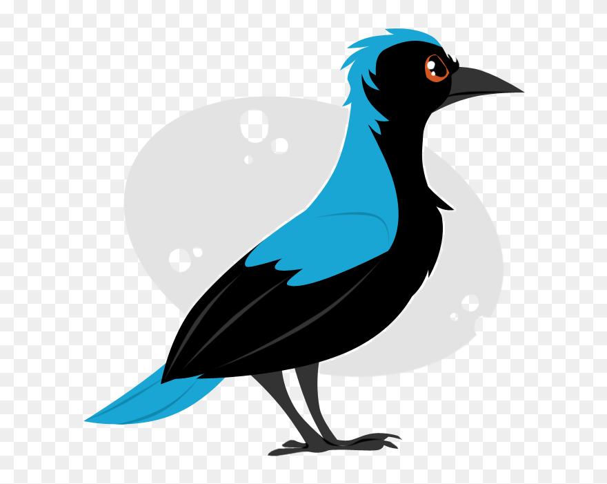 Asian Fairy Bluebird By Ribbedebie - Seabird Clipart