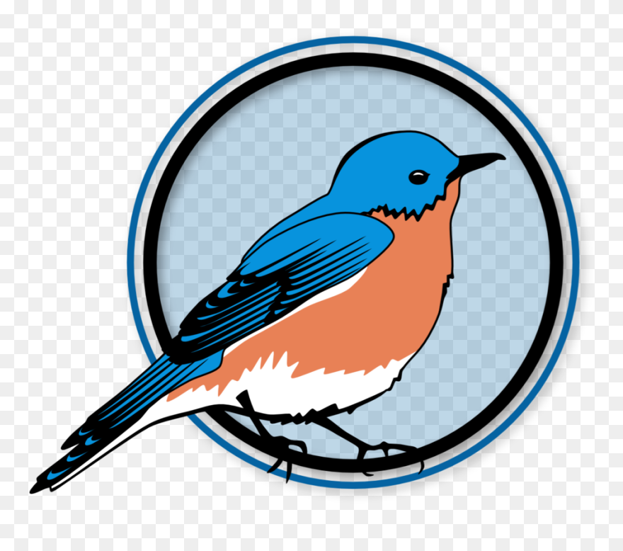 Illustration Eastern Bluebird Png Clipart