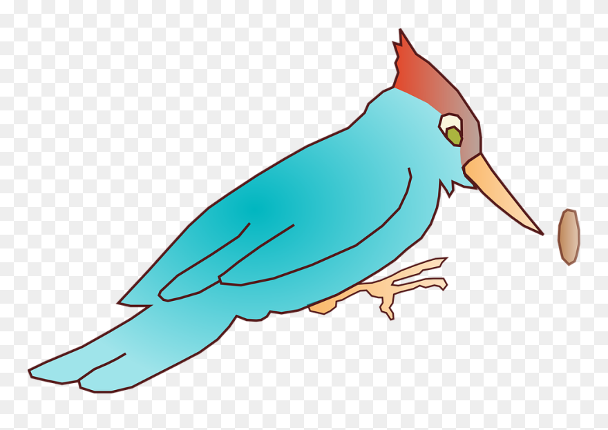 Draw A Woodpecker Cartoon Clipart