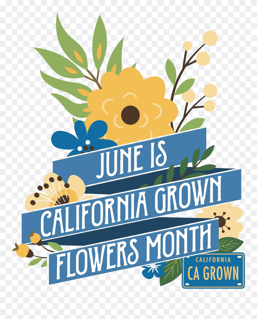 Transparent California License Plate Clipart - California Grown - Png Download