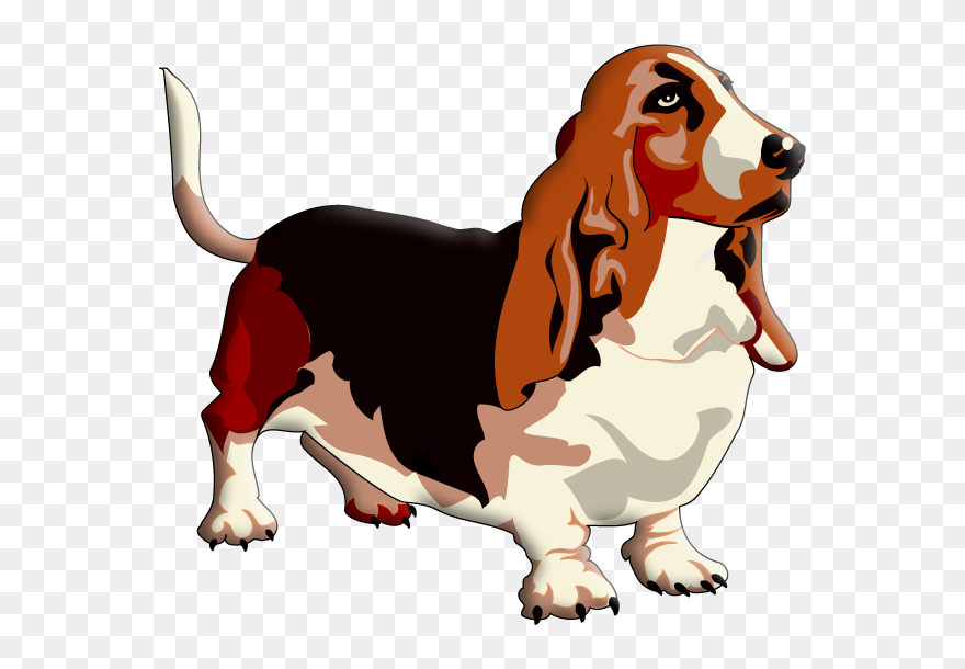 Basset Hound Clip Art - Realistic Basset Hound Drawing - Png Download