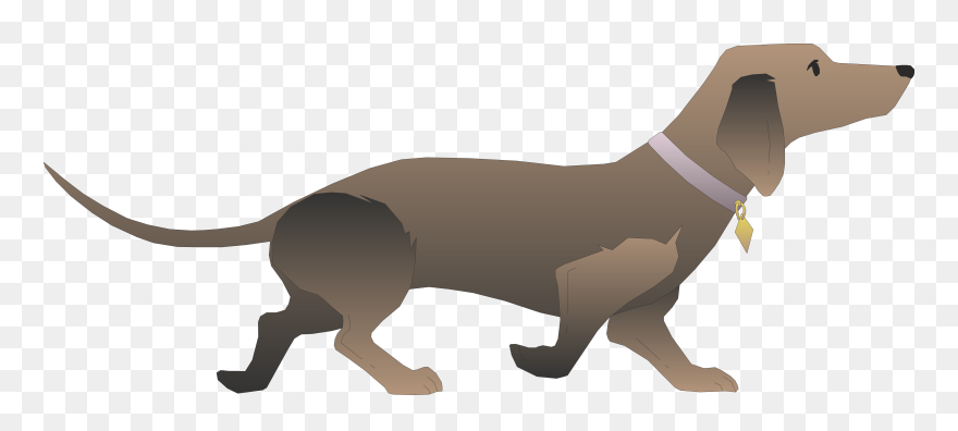 Dachshund Basset Hound Puppy Dog Walking Clip Art - Dachshund Vector Pixabay - Png Download