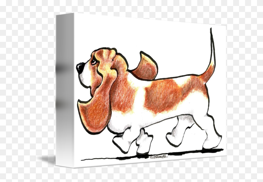 Busy Basset Hound By Off Leash - Basset Hound Clipart