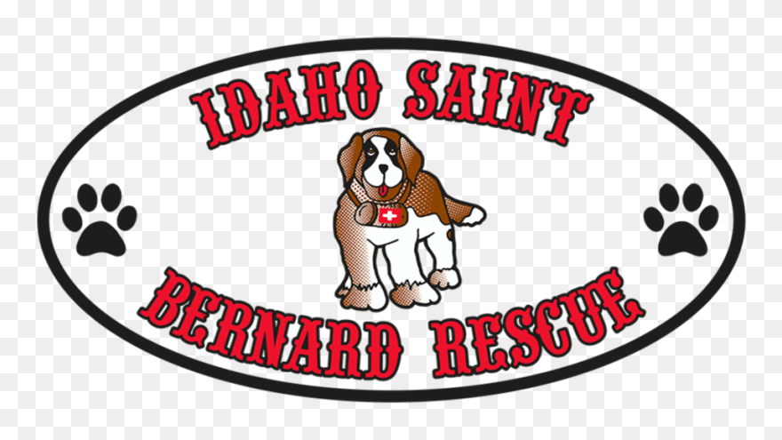 Basset Hound Clipart