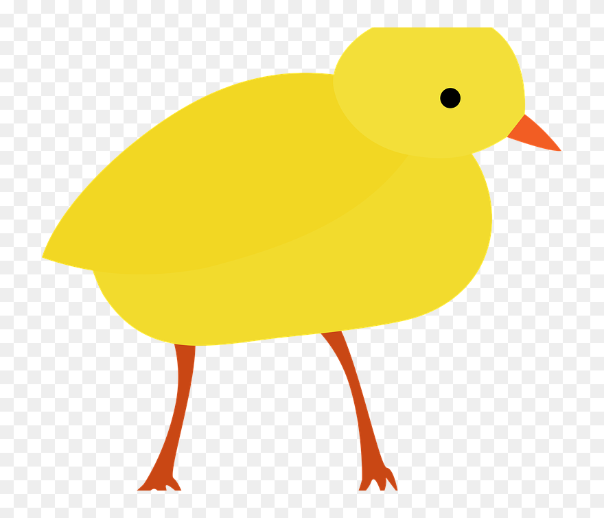 Nest Clipart Early Bird - Duck - Png Download