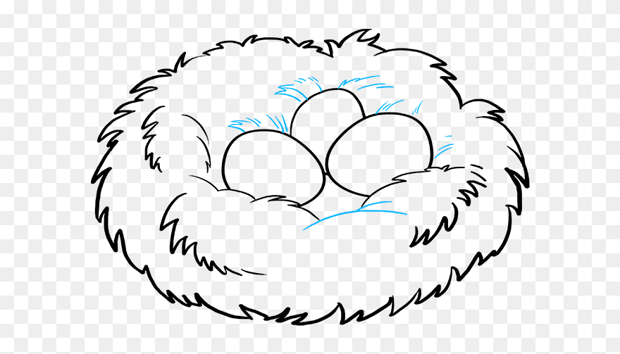 How To Draw A Bird Nest - Draw A Bird Nest Clipart