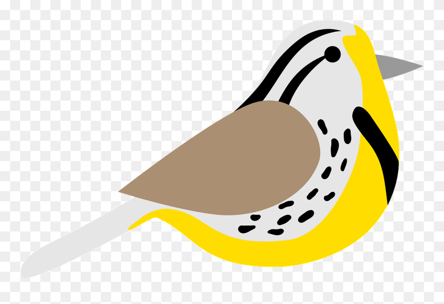 Bird Clipart - Western Meadowlark Clipart - Png Download