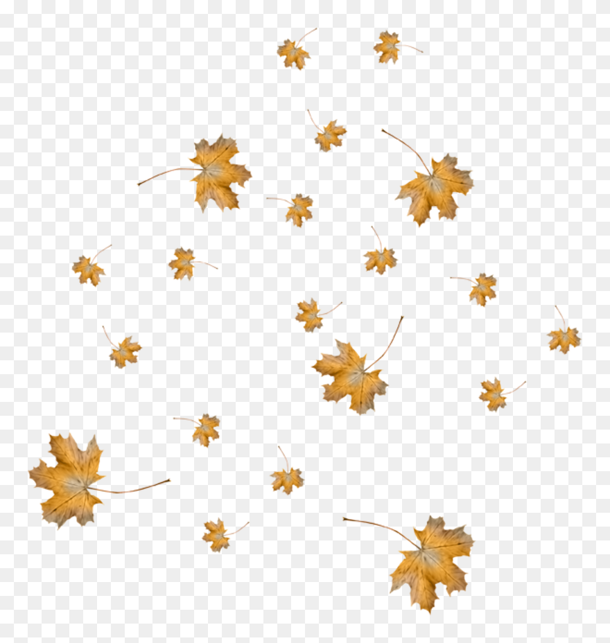 Осенние Листья Для Фотошопа Clipart