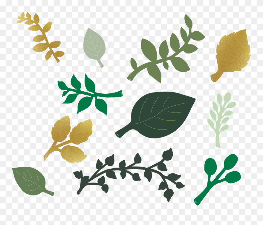 Clip Art - Png Download