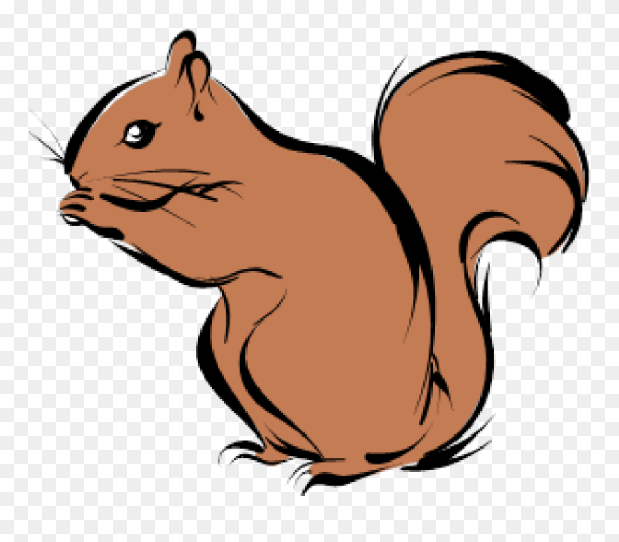Transparent Background Squirrel Clipart Png