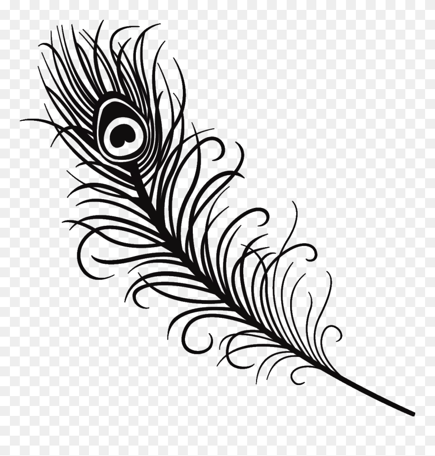 #silhouette #feather #peacock #peacockfeather #black - Easy Peacock Feather Drawing Clipart