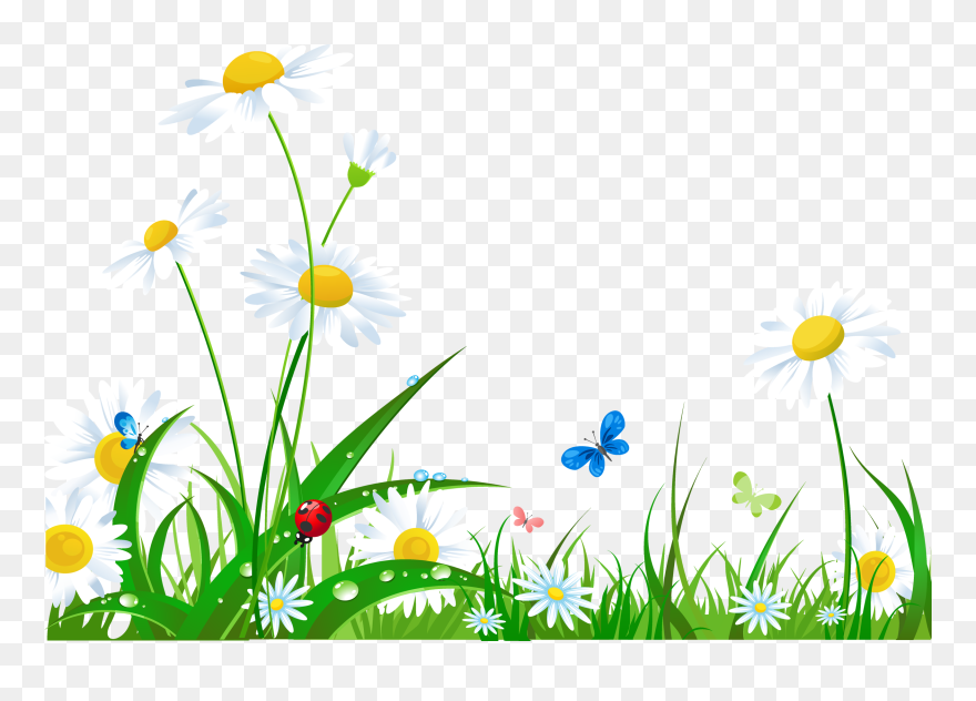 28 Collection Of Nature Background Clipart Png High Transparent Png