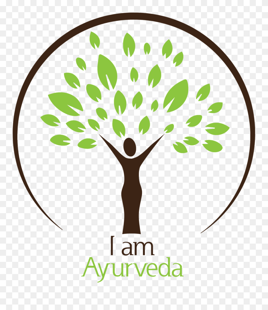 Stage Clipart Tree Development - Tree Logo Png Hd Transparent Png