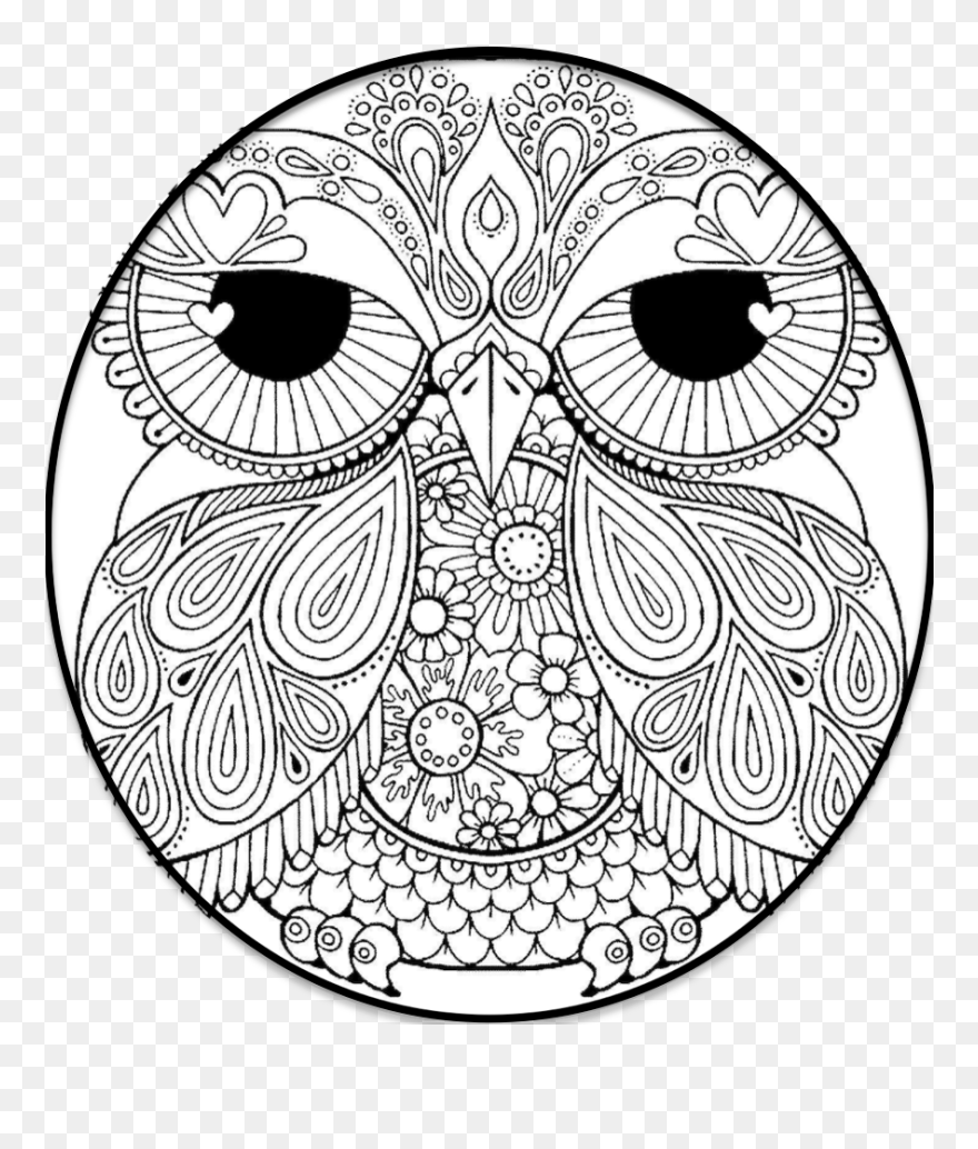 Owl Coloring Pages Clipart