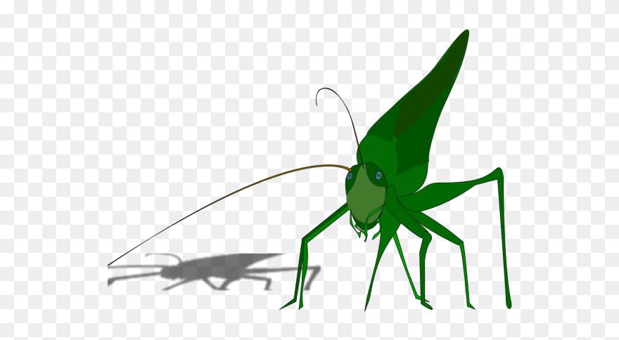 Cartoon Grasshopper With Shadow Png Icons - Grasshopper Clipart Transparent Png