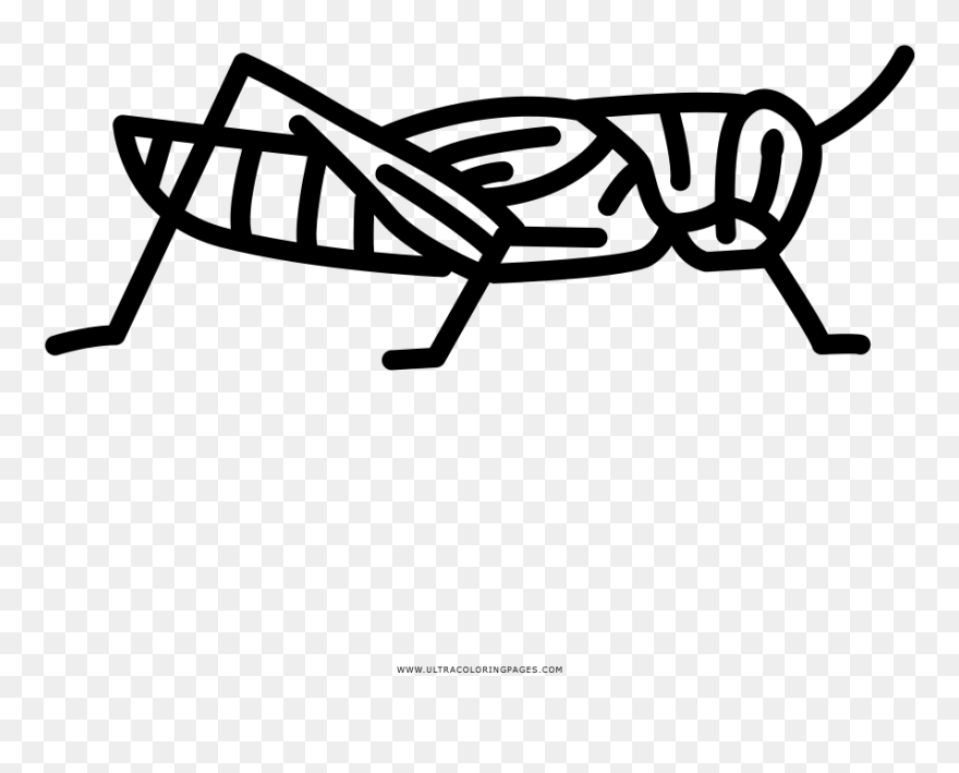 Grasshopper Coloring Page Clipart