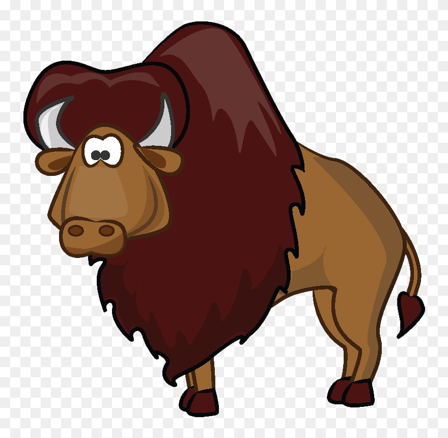 Bison Png Photo - Animals Clipart