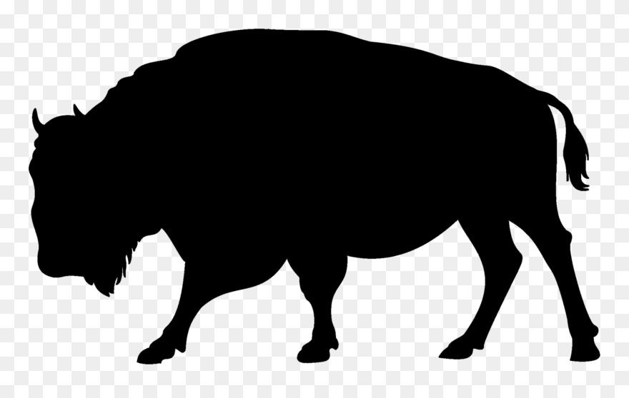 Vienna Lager - Buffalo Clip Art - Png Download