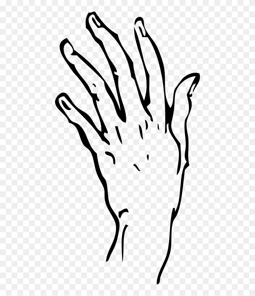 Hand Fingers Thumb - Transparent Hand Line Art Clipart