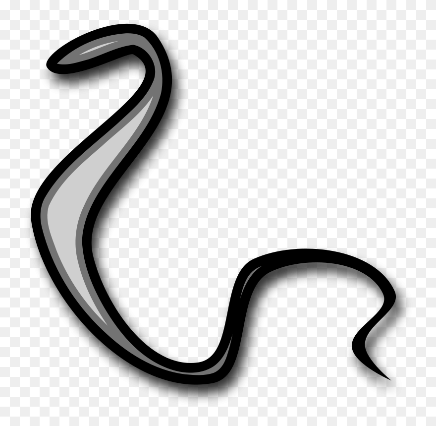 Snake Body Png Black And White Clipart