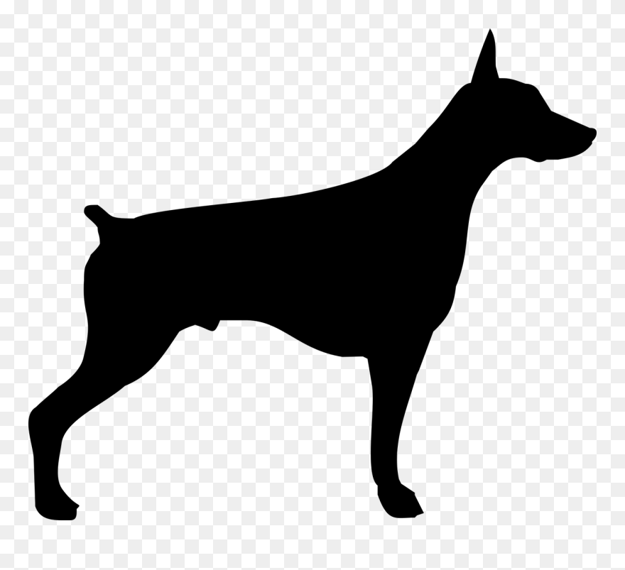 Dobermann German Pinscher Miniature Pinscher Clip Art - Bloodhound Hound Dog Silhouette - Png Download