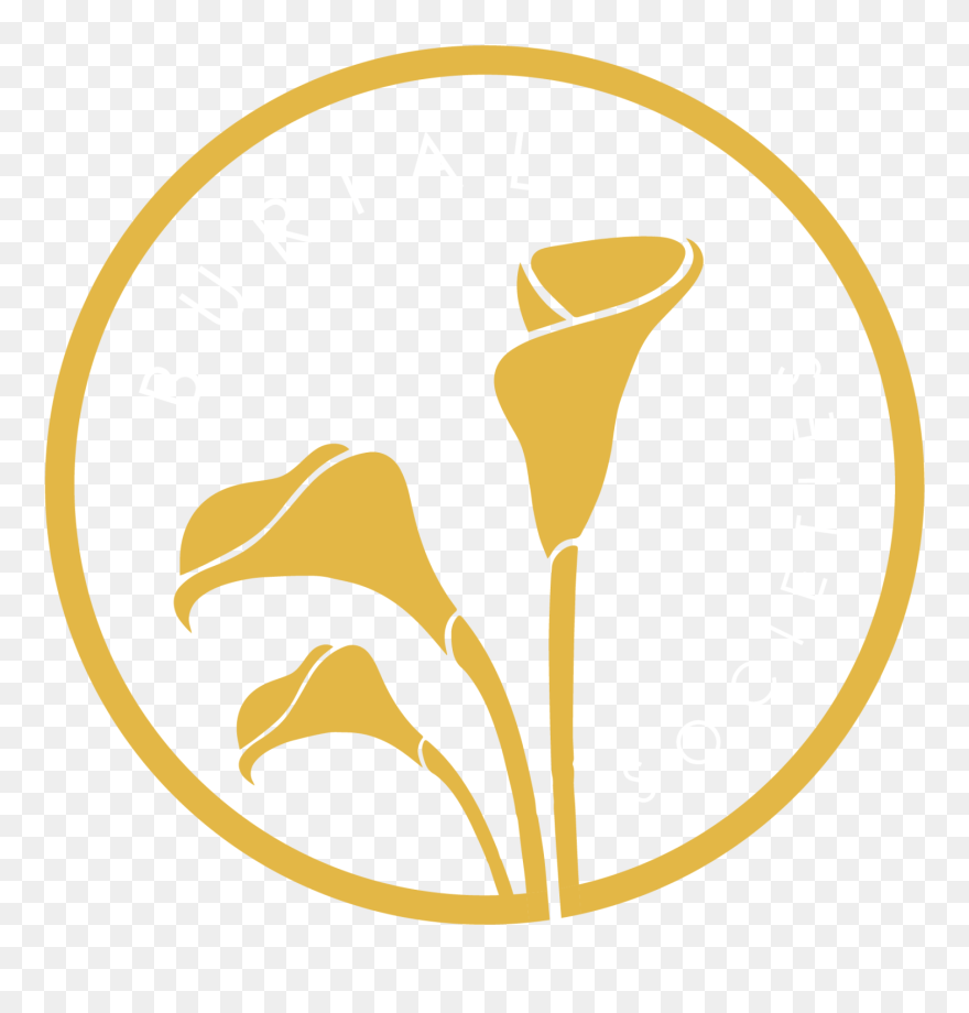 Site Image - Dibujo De Alcatraces Clipart