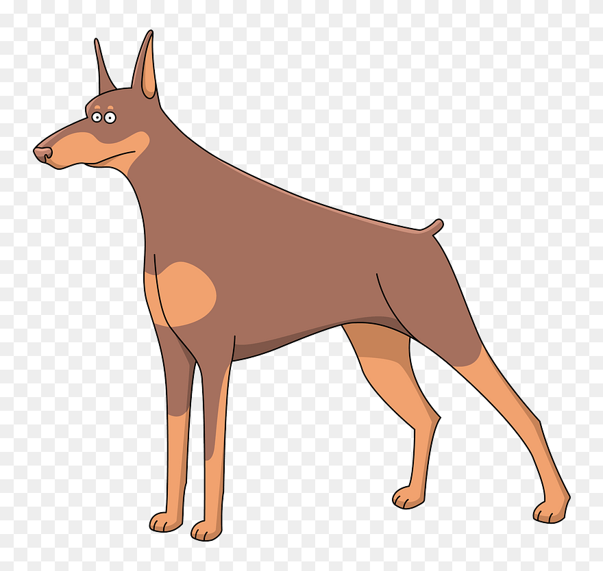 Doberman Clipart - Great Dane Cartoon Drawing - Png Download