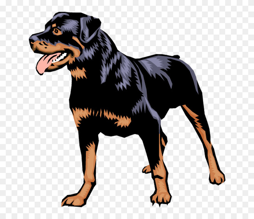 Doberman Vector Attack Dog - Rottweiler Clip Art - Png Download