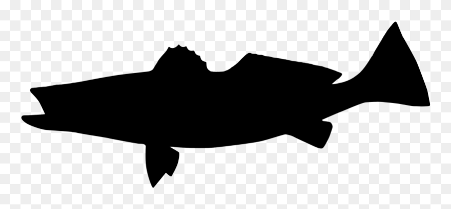 Fly Fishing Angling Trout T-shirt - Angling Clipart