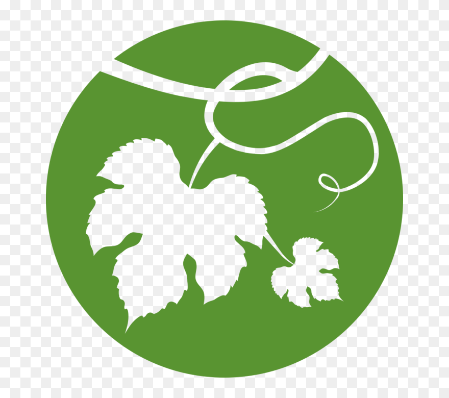 Grapevine Clipart Symbol - Portable Storage Device - Png Download