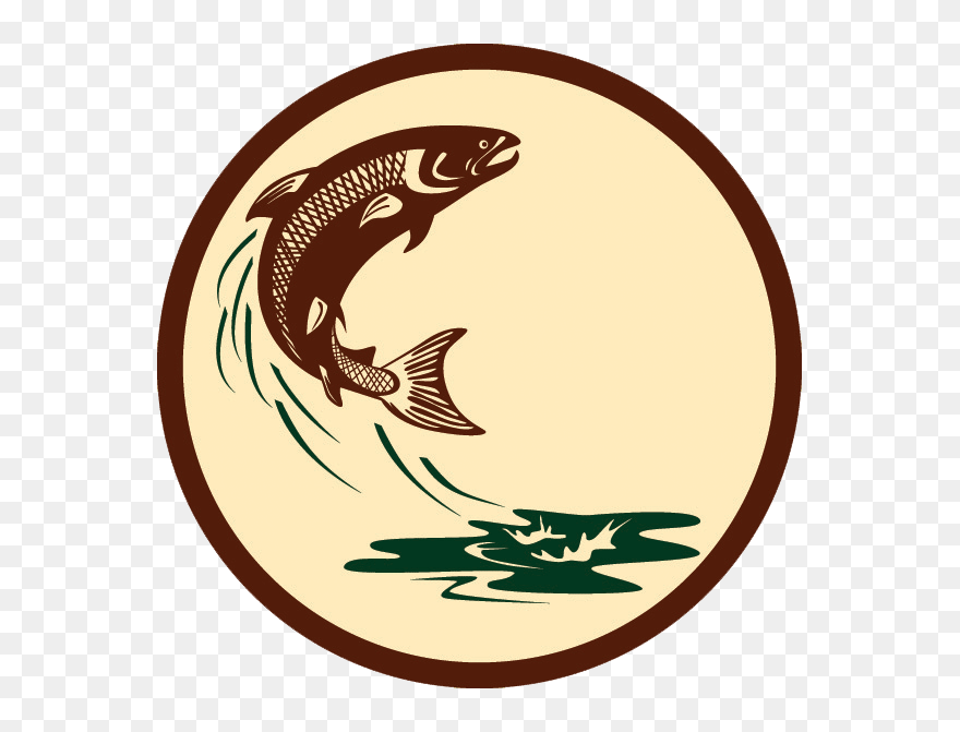 Trout Clipart Atlantic Salmon - Salmon Clip Art Free - Png Download