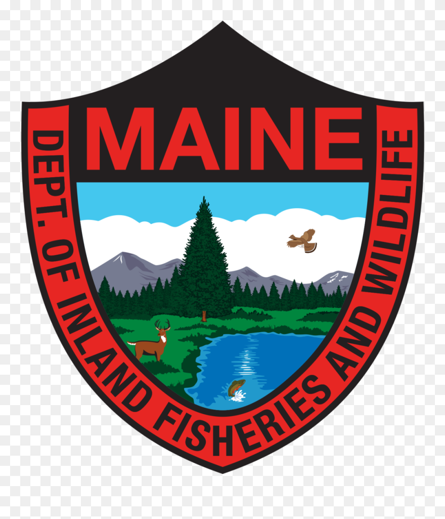 Transparent Brook Trout Clipart - Maine Fish And Wildlife - Png Download