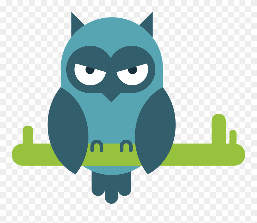 Transparent Owl Clip Art Png - Kaaba