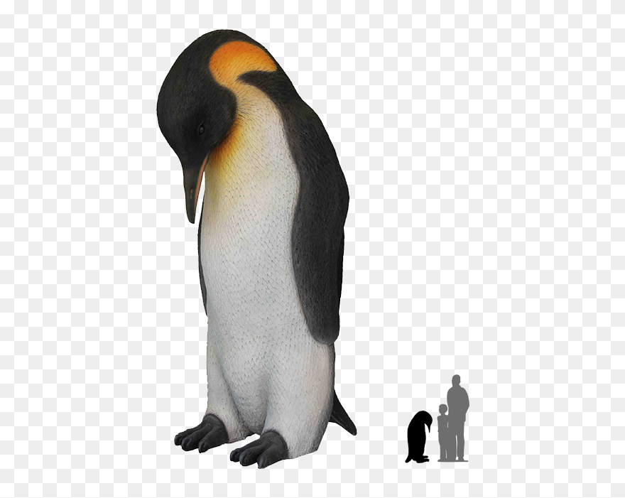 Emperor Penguin Clipart Leg - Emperor Penguin Transparent Background - Png Download