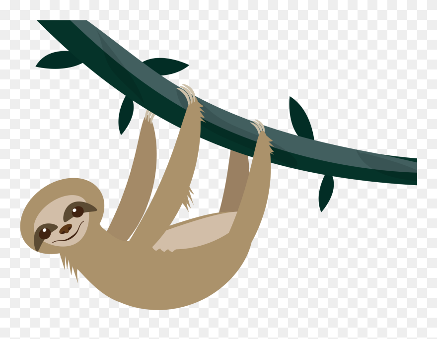 Sloth Png - Sloth Transparent Background Clipart