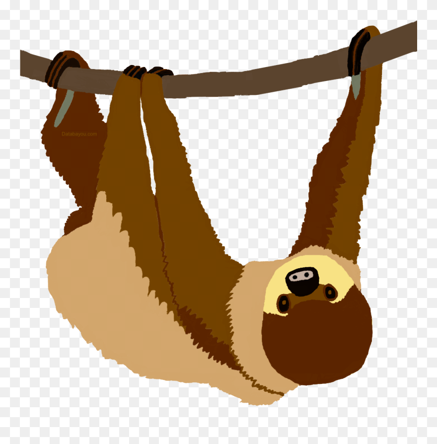 Two-toed Sloth Clipart