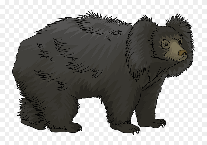 Läppbjörn Clipart - Sloth Bear Clipart - Png Download