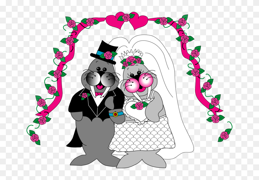 Transparent Laura Numeroff Clipart - Frog Street Press Willie The Wanda - Png Download