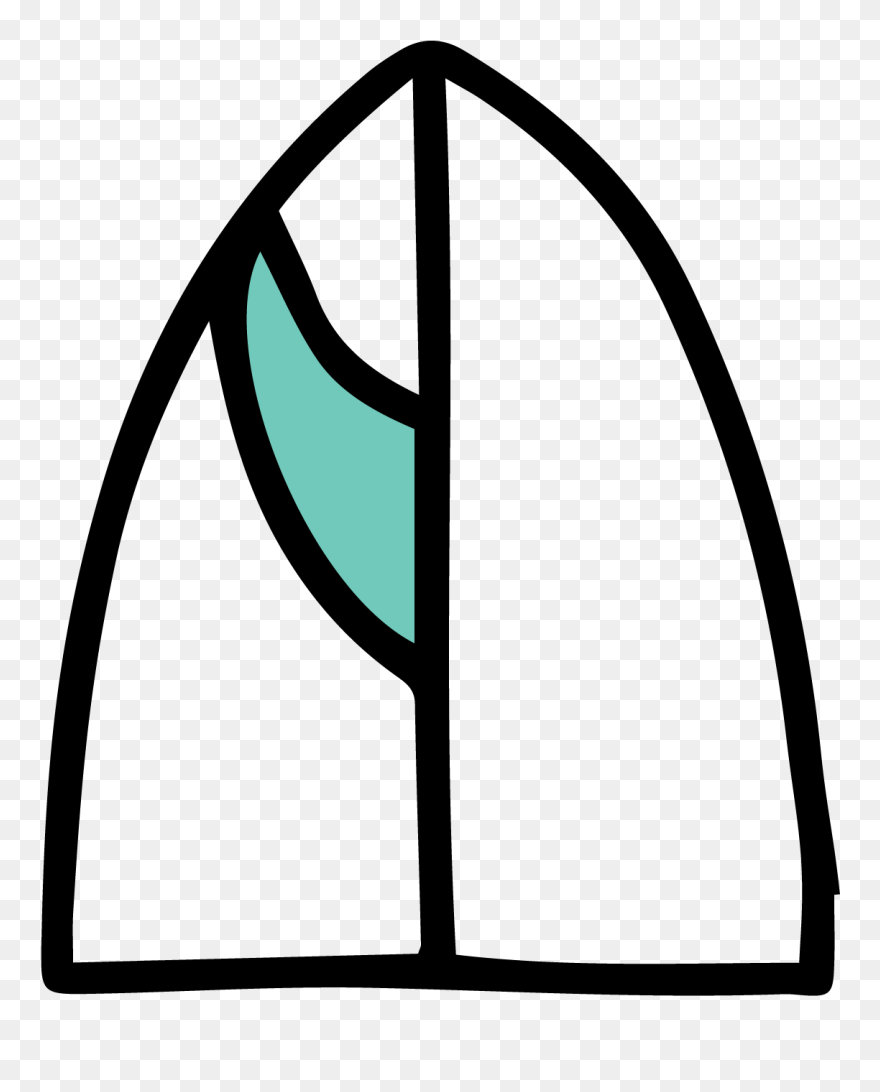Fin Transparent, Picture - Draw Surfboard Fin Clipart
