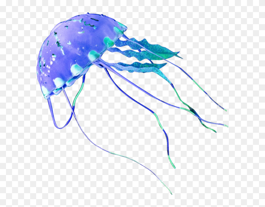 Медуза Png Clipart