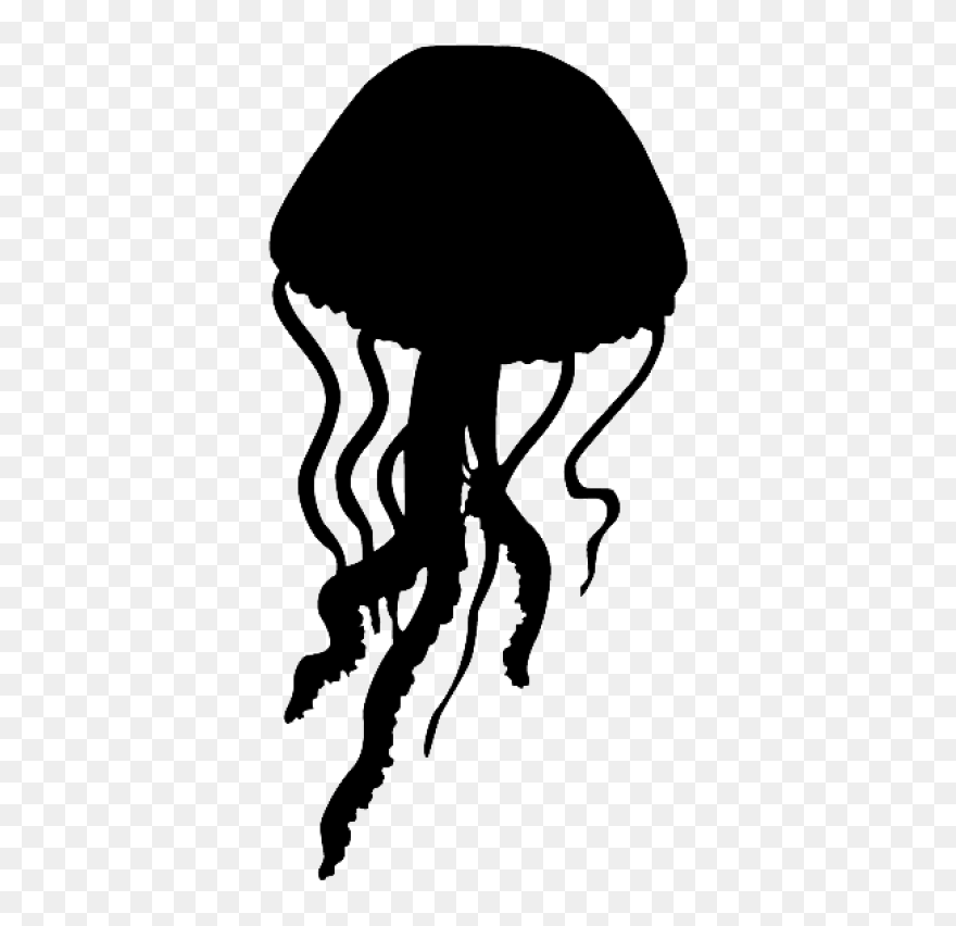Transparent Background Jellyfish Clipart - Png Download
