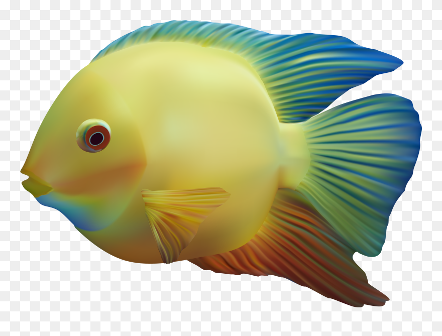 Colors Clipart Fish - Transparent Background Ocean Fish Png