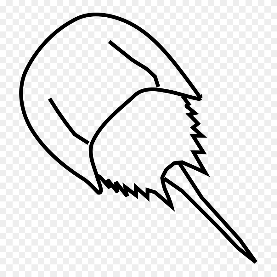 Crocs Drawing Vector - Draw A Horseshoe Crab Clipart